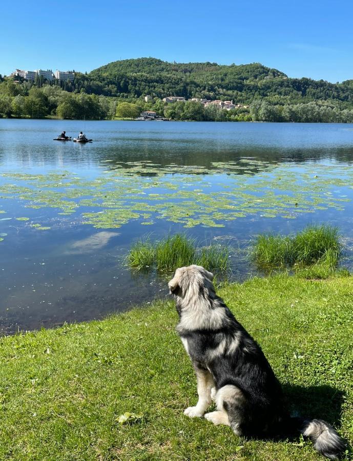 Altravista Tarzo Villa Revine Lago Exteriör bild